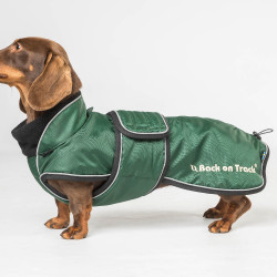 Lange jas voor hond Back on Track Buddy Groen