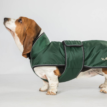 Lange jas voor hond Back on Track Buddy Groen