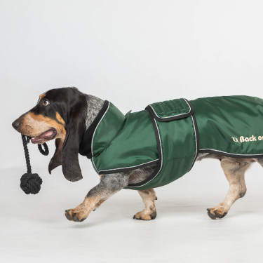 Lange jas voor hond Back on Track Buddy Groen