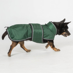 Lange jas voor hond Back on Track Buddy Groen