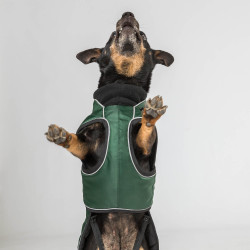 Lange jas voor hond Back on Track Buddy Groen