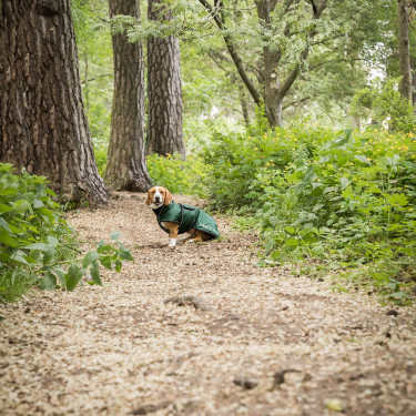 Lange jas voor hond Back on Track Buddy Groen