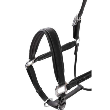 Leren halster Horze Delémont Zwart