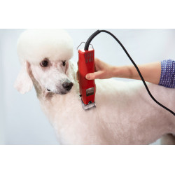 Favorita Speed tondeuse Aesculap Rood