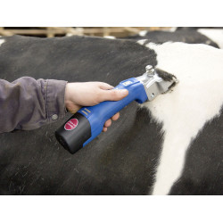 Kabellose Schermaschine Aesculap Econom CL¹