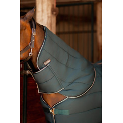 Halsstuk voor staldeken Glasgow pony Hoze Donkergroen waterkleur Halsstuk voor staldeken Glasgow pony Hoze Donkergroen waterkleur