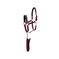 Set halster Horze Eternal Gaze Potion violette