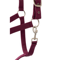 Set halster Horze Eternal Gaze Paarse potion Violet Set halster Horze Eternal Gaze Paarse potion Violet