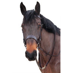 Jachtteugel Canter