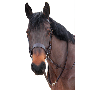 Jachtteugel Canter