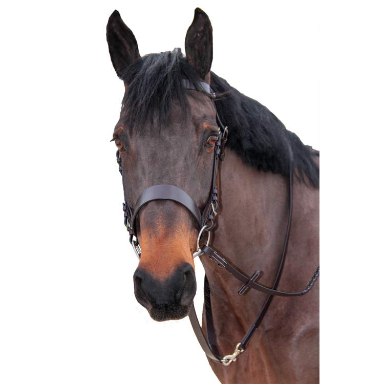 Jachtteugel Canter