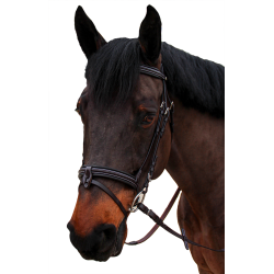 Bridon Canter gebombeerd 1/2 rond Nino