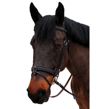 Bridon Canter gebombeerd 1/2 rond Nino