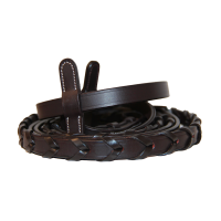 Teugels bredies Canter Bruin