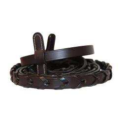 Teugels bredies Canter Bruin