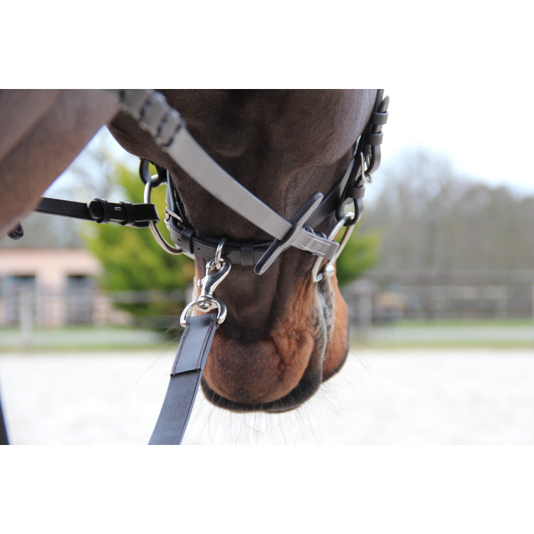 Jachtriem Canter