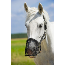 Neusbeschermer anti-vlieg gaas