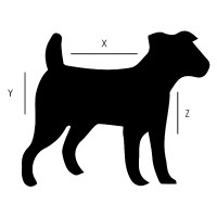 Hondenjas Imperial Riding Ambient Cappuccino Bruin