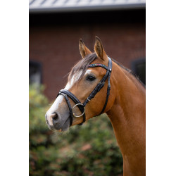 Pony hoofdstel Rainbow Dash Horze Zwart Pony hoofdstel Rainbow Dash Horze Zwart