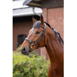 Bridon Chio Horze Cognac Bruin