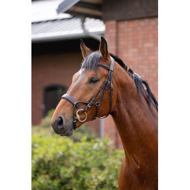 Bridon Chio Horze Cognac Bruin