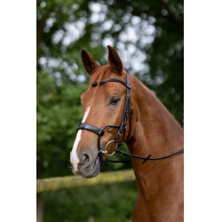 Bridon Chio Horze Zwart