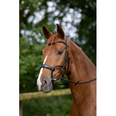 Bridon Chio Horze Zwart