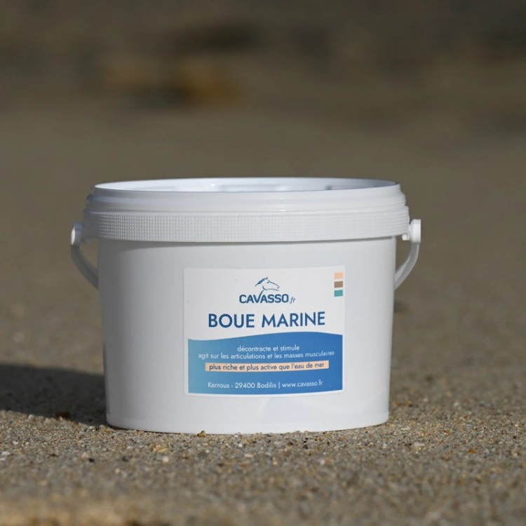 Marine Modder Cavasso