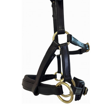 Side-pull leer T van T Donker Havana Bruin