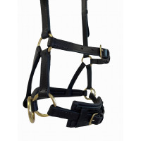 Side-pull leer T van T Zwart