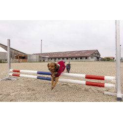 Polar fleece deken Diego & Louna Teddy Polar fleece deken Diego & Louna Teddy