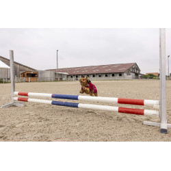 Polar fleece deken Diego & Louna Teddy Polar fleece deken Diego & Louna Teddy