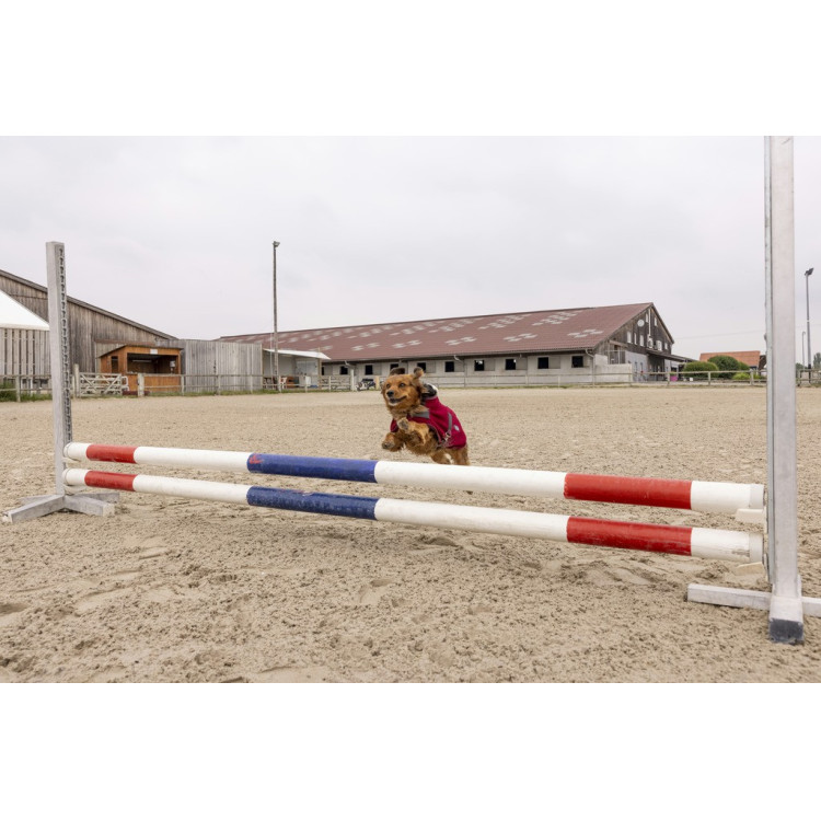 Polar fleece deken Diego & Louna Teddy Polar fleece deken Diego & Louna Teddy