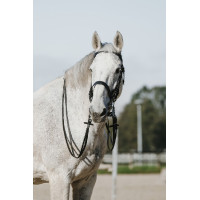 Bride Riding World Zwart Bride Riding World Zwart