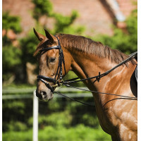 Elastische verstelbare...