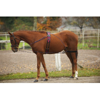 Norton katrollenhulpteugel Norton katrollenhulpteugel