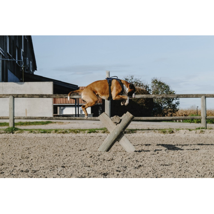 Hondentuig Riding World Simba Hondentuig Riding World Simba