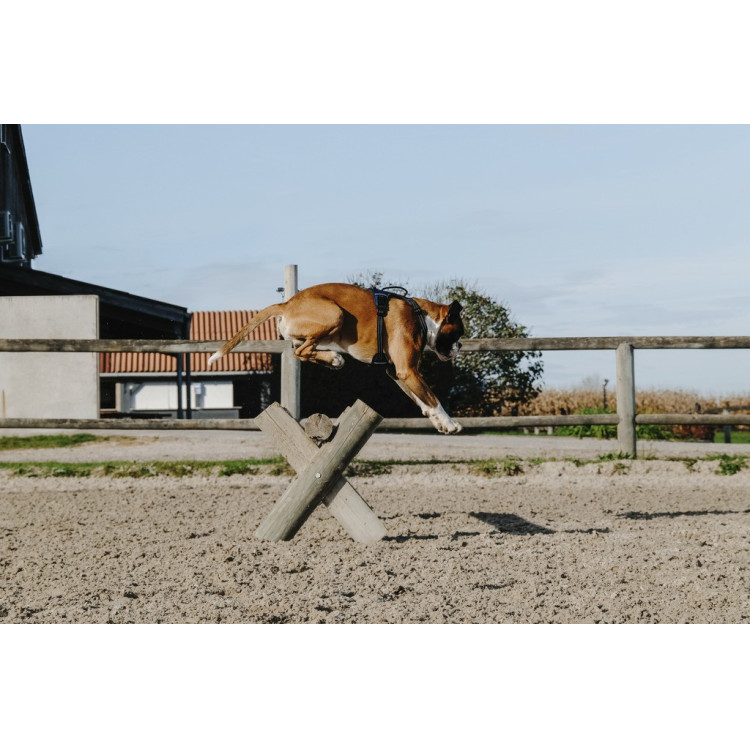 Hondentuig Riding World Simba Hondentuig Riding World Simba