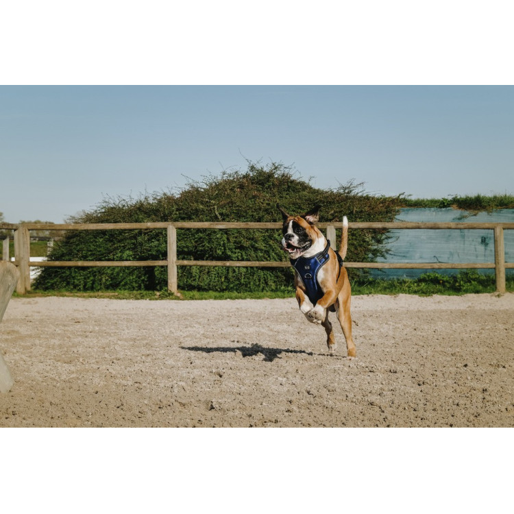 Hondentuig Riding World Simba Hondentuig Riding World Simba