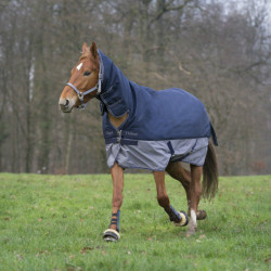 Equithème Tyrex 600D Combo 350g deken