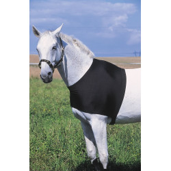 Schouderbescherming Equithème Schouderbescherming Equithème
