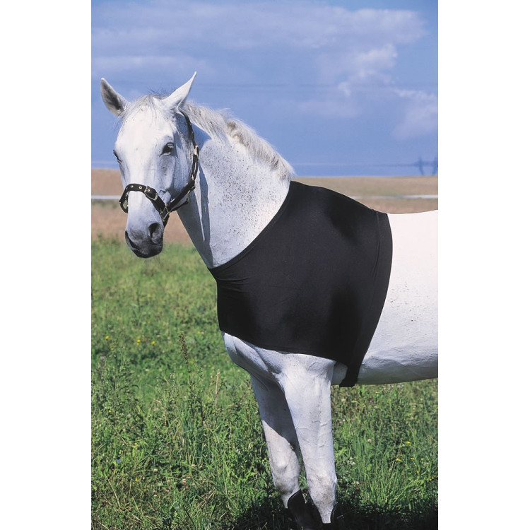 Schouderbescherming Equithème Schouderbescherming Equithème