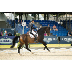 Broek Pikeur Laure full grip dames Wit Broek Pikeur Laure full grip dames Wit