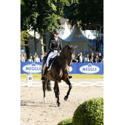 Broek Pikeur Laure full grip dames Wit Broek Pikeur Laure full grip dames Wit