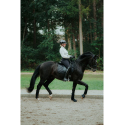 Paardrijcap Abus Airluxe Chroom L.V Glanzend zwart Paardrijcap Abus Airluxe Chroom L.V Glanzend zwart