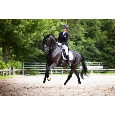 Abus Airluxe Supreme paardrijcap Zwart