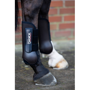 Achterste Eskadron springbeschermers Donkerbruin