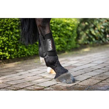 Neopreen achterste peesbeschermers Eskadron Neopreen achterste peesbeschermers Eskadron