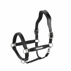Leren halster Eskadron Stallion