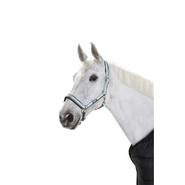Halster Eskadron gesp IJs / wit / steen Blauw Halster Eskadron gesp IJs / wit / steen Blauw